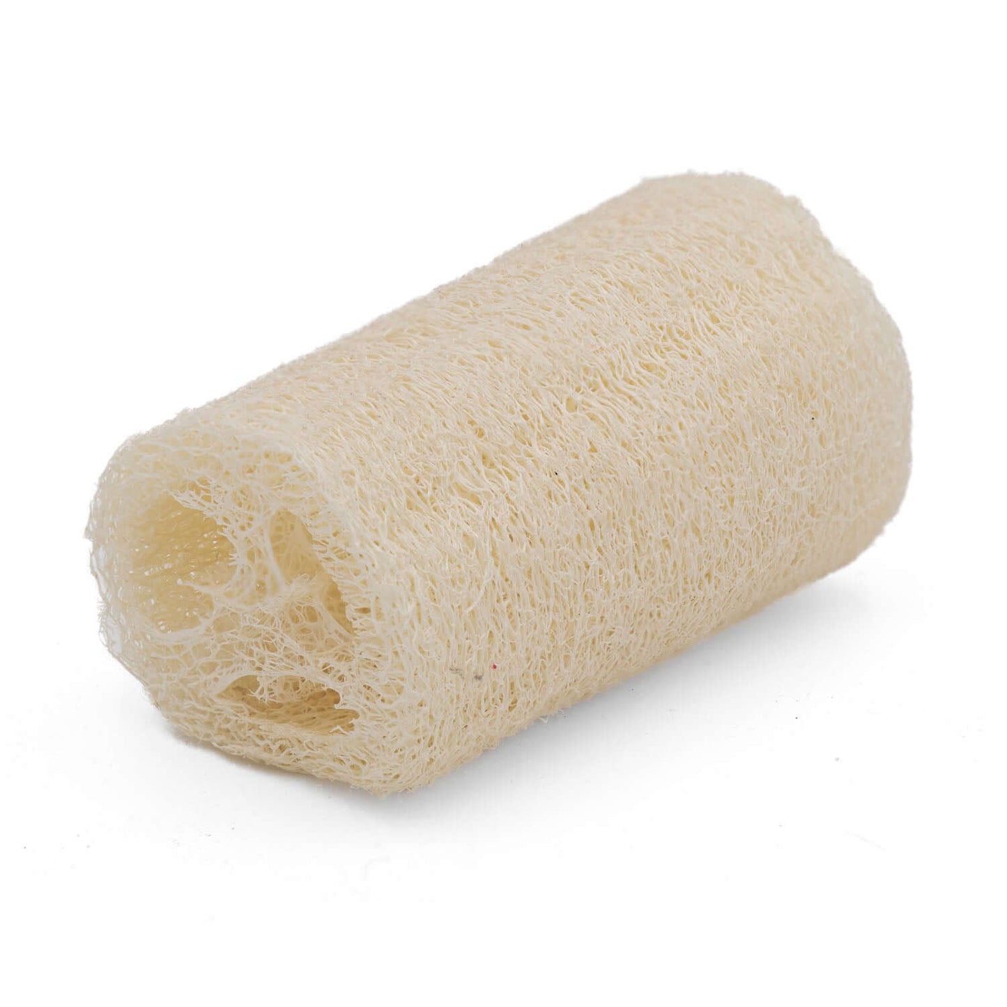 Luffa ca.10 cm Luffschwamm / Luffagurke