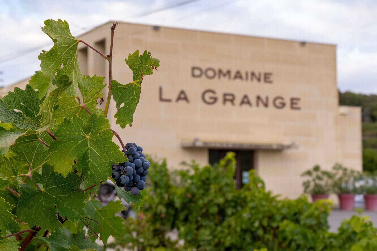 La Grange Rondeur Appassimento 2021